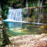 Bosco Magnano Pollino - Fonte Apt Basilicata