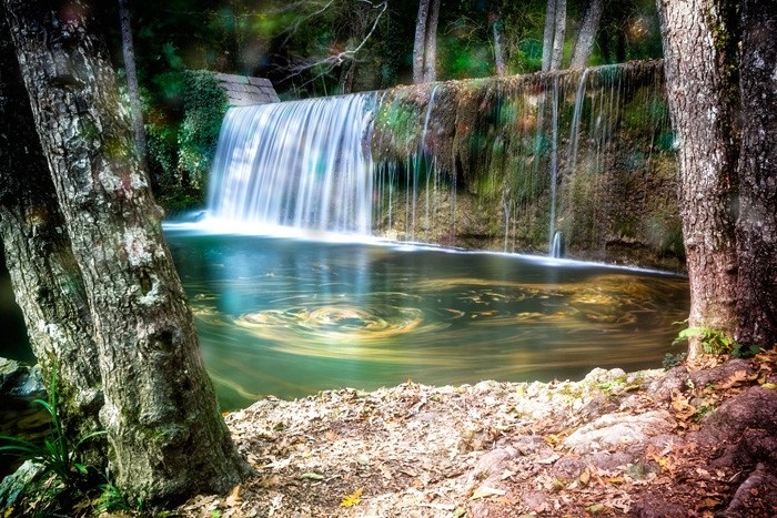 Bosco Magnano Pollino - Fonte Apt Basilicata